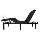 Dormiolite II Adjustable Bed Base