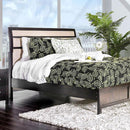 Berenice Bed