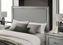 Cassiopeia Bed