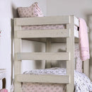 Arlette Twin/Twin Bunk Bed Brown, Black, Gray, & White